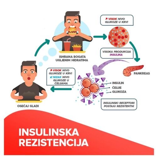 405225973-3586369158357110-7670788098389748259-n